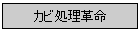 Jrv